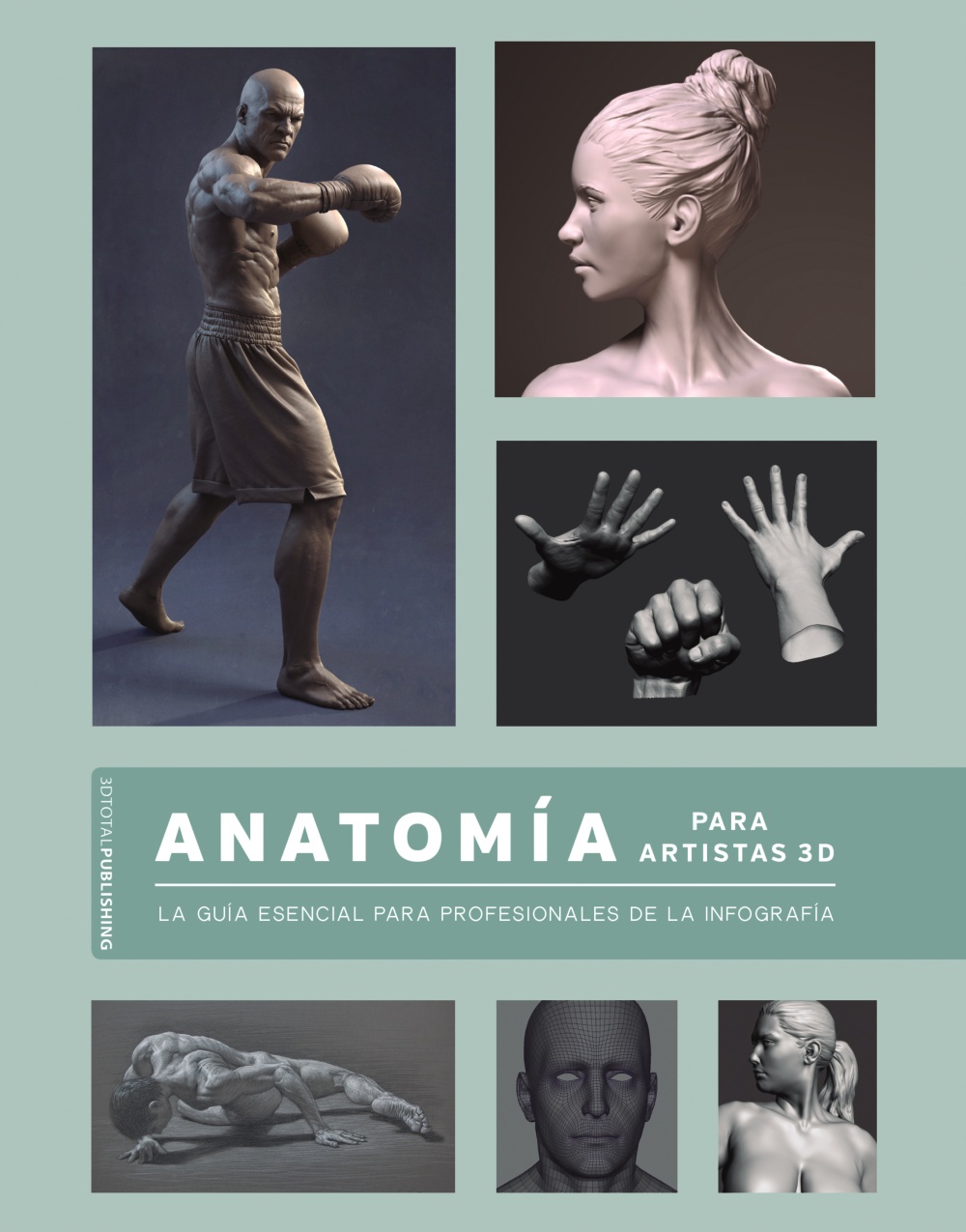 7 Libros Anatomía Humana y Animal para Artistas ❤️ PDF